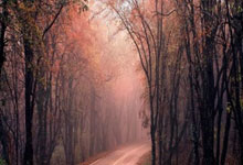 世界杯买球攻略app -真实可信才是硬通(tōng)货！GEO 优化(huà)如何(hé)守住内容底线？